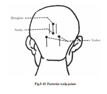 687dd12fca8c1.png image.png