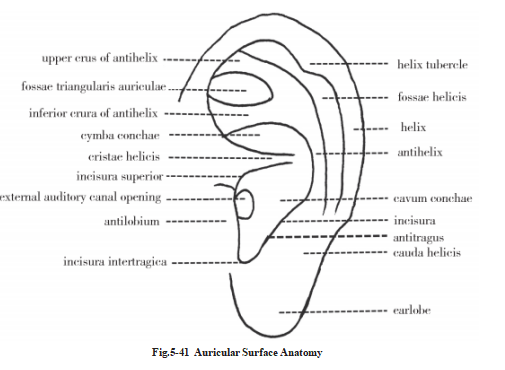 687dd147a261c.png image.png