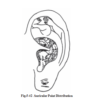 687dd15d14ff4.png image.png