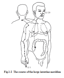 687def15c067e.png image.png