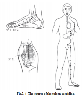 687def6dc784f.png image.png