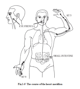 687def963d91e.png image.png