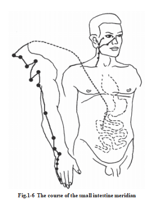 687defb2bf2b2.png image.png