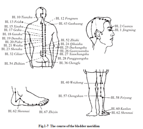 687defd519c28.png image.png