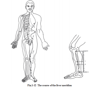 687df07a09124.png image.png