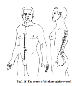 687df0c92fe26.png image.png