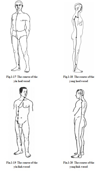 687df1162eee8.png image.png